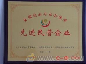 中保太和 多元业务协同发展，打造综合服务新格局